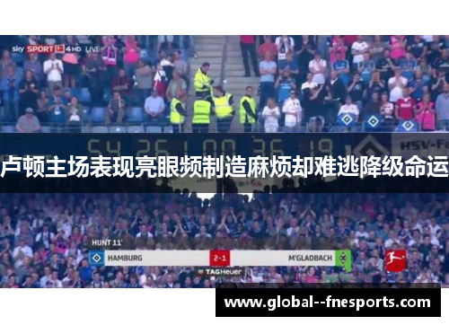 卢顿主场表现亮眼频制造麻烦却难逃降级命运