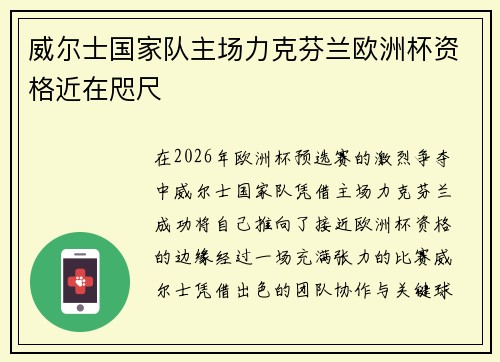 威尔士国家队主场力克芬兰欧洲杯资格近在咫尺